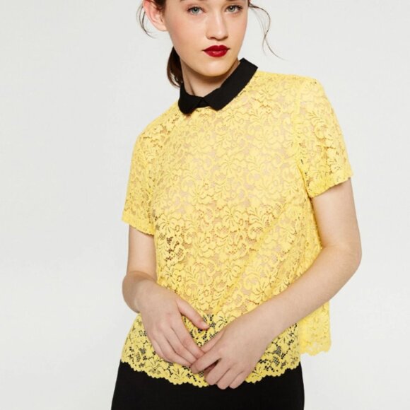 Zara Women's Yellow Black Crop Blouse with Peter Pan Collar, Size M EUC - Picture 1 of 8